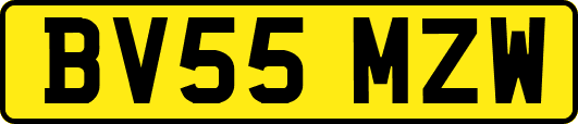 BV55MZW