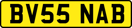 BV55NAB