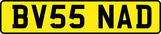 BV55NAD