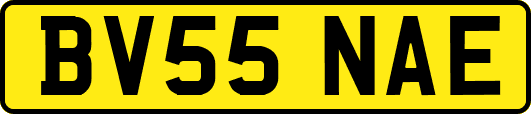 BV55NAE