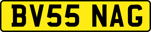 BV55NAG