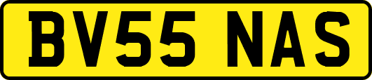BV55NAS