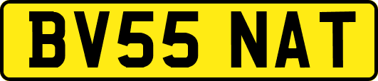 BV55NAT