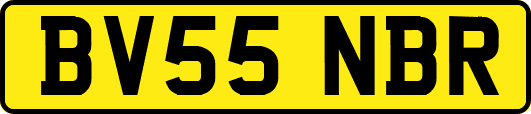 BV55NBR