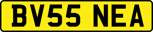 BV55NEA