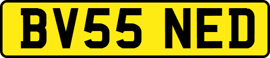BV55NED
