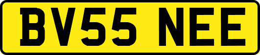 BV55NEE