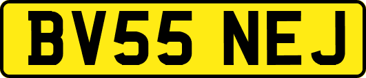 BV55NEJ