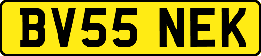 BV55NEK