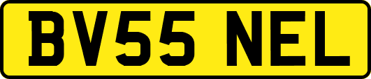 BV55NEL