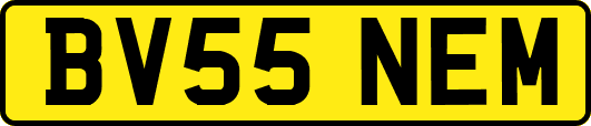 BV55NEM