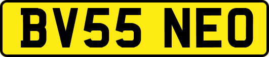 BV55NEO