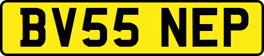 BV55NEP