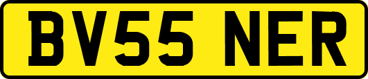 BV55NER