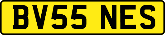 BV55NES
