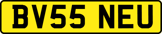 BV55NEU