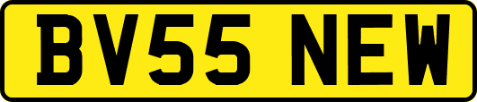 BV55NEW
