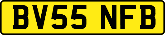 BV55NFB