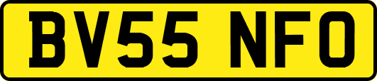 BV55NFO
