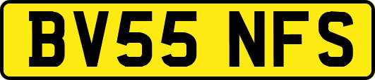 BV55NFS