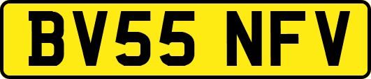 BV55NFV