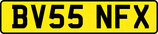 BV55NFX