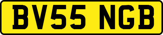 BV55NGB