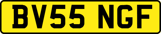BV55NGF
