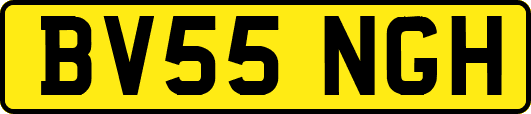 BV55NGH