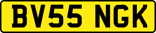 BV55NGK