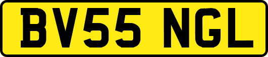 BV55NGL