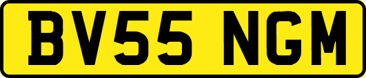 BV55NGM