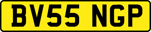 BV55NGP