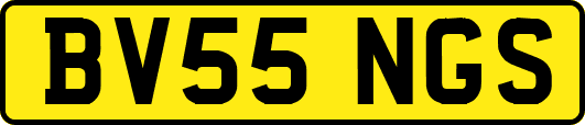 BV55NGS