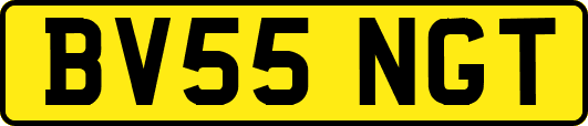 BV55NGT