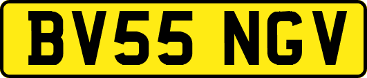BV55NGV