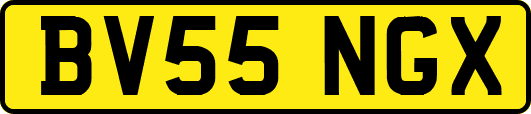 BV55NGX