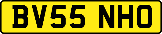 BV55NHO