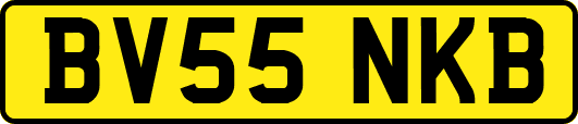 BV55NKB