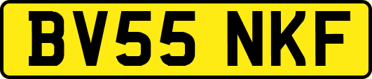 BV55NKF