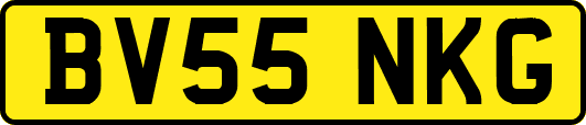 BV55NKG