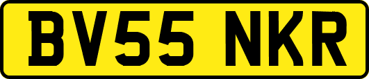 BV55NKR