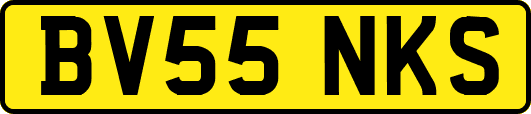 BV55NKS