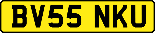 BV55NKU