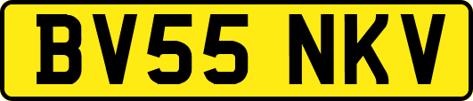 BV55NKV