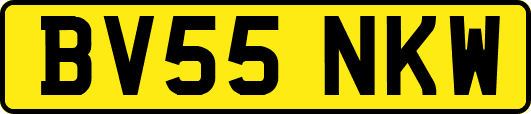 BV55NKW