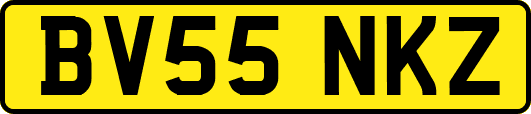BV55NKZ
