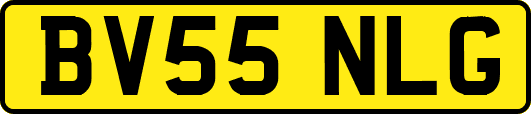 BV55NLG