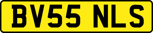 BV55NLS
