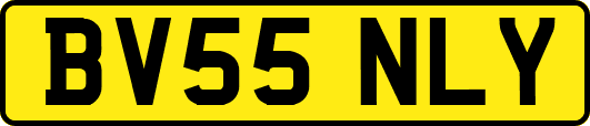 BV55NLY